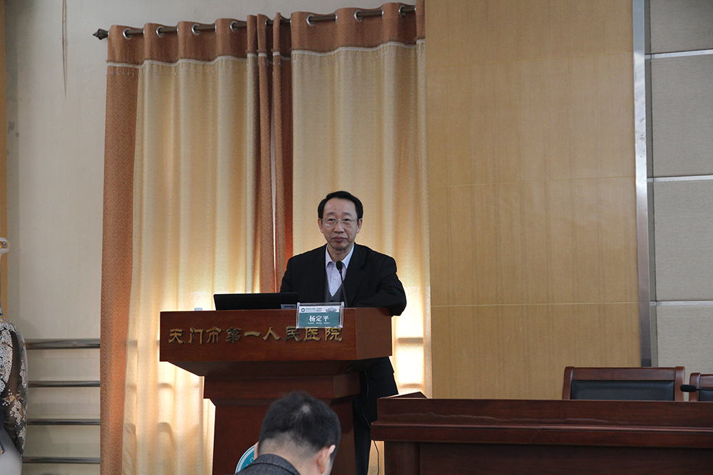 杨定平教授会议授课.JPG