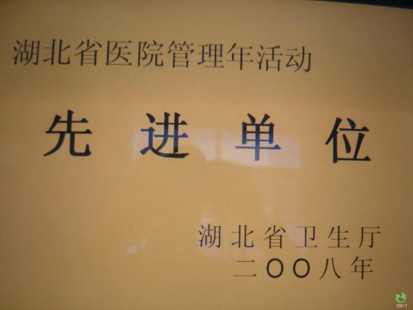 2008年度湖北省医院管理年活动先进单位