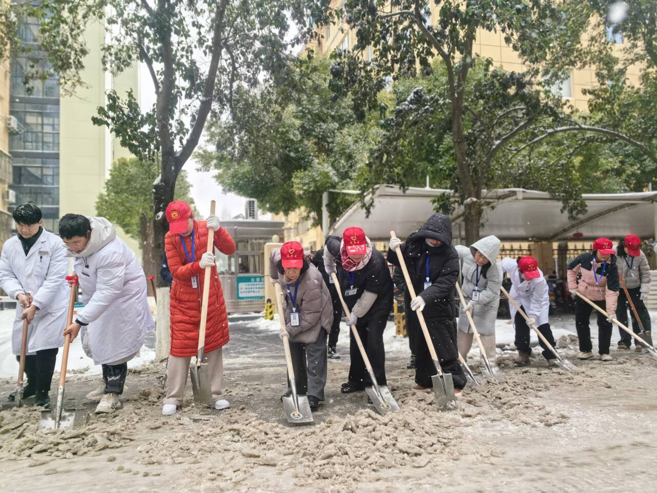 微信图片_20260121095202_39_217.jpg